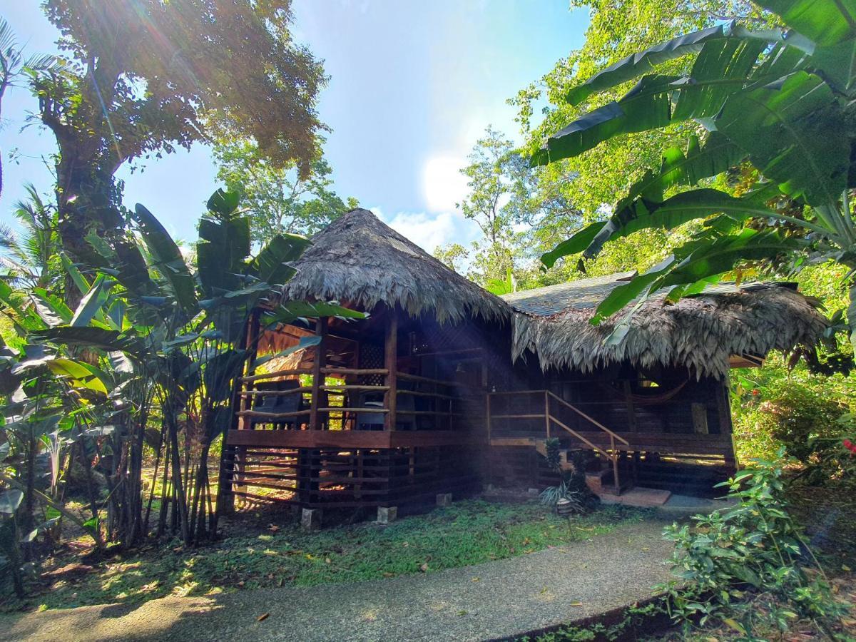 Cariblue Beach And Jungle Resort Puerto Viejo de Talamanca Kültér fotó