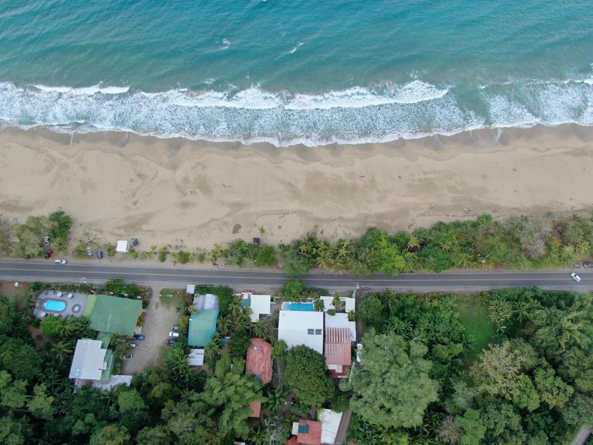 Cariblue Beach And Jungle Resort Puerto Viejo de Talamanca Kültér fotó