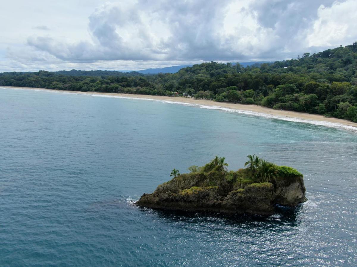 Cariblue Beach And Jungle Resort Puerto Viejo de Talamanca Kültér fotó