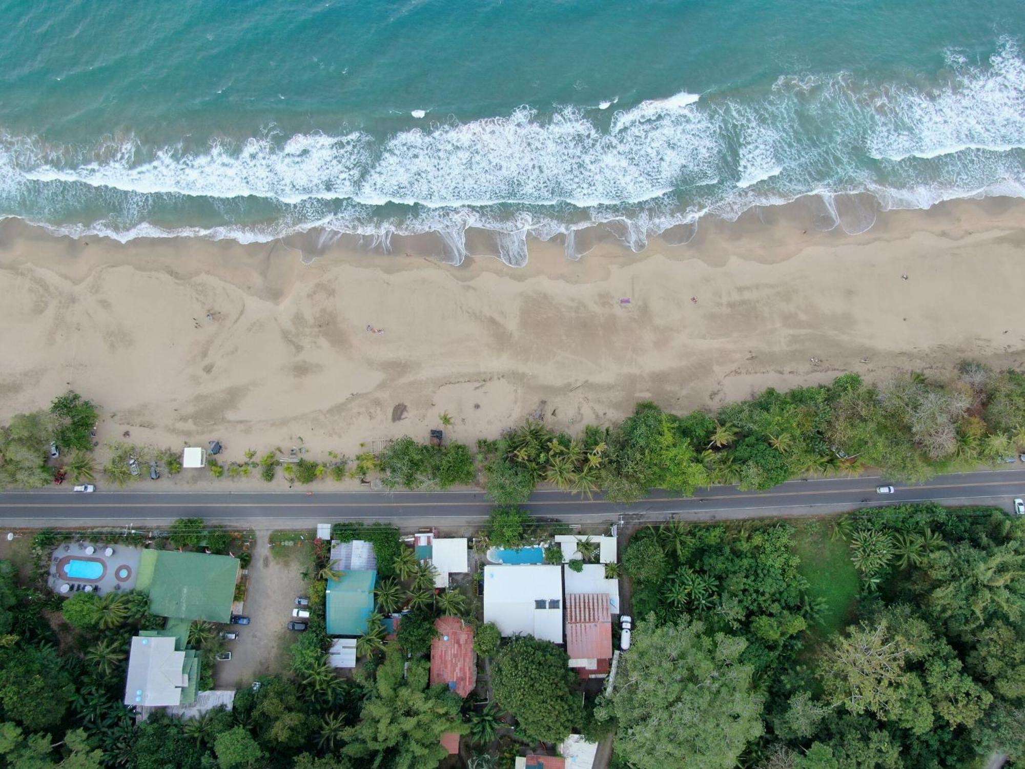 Cariblue Beach And Jungle Resort Puerto Viejo de Talamanca Szoba fotó