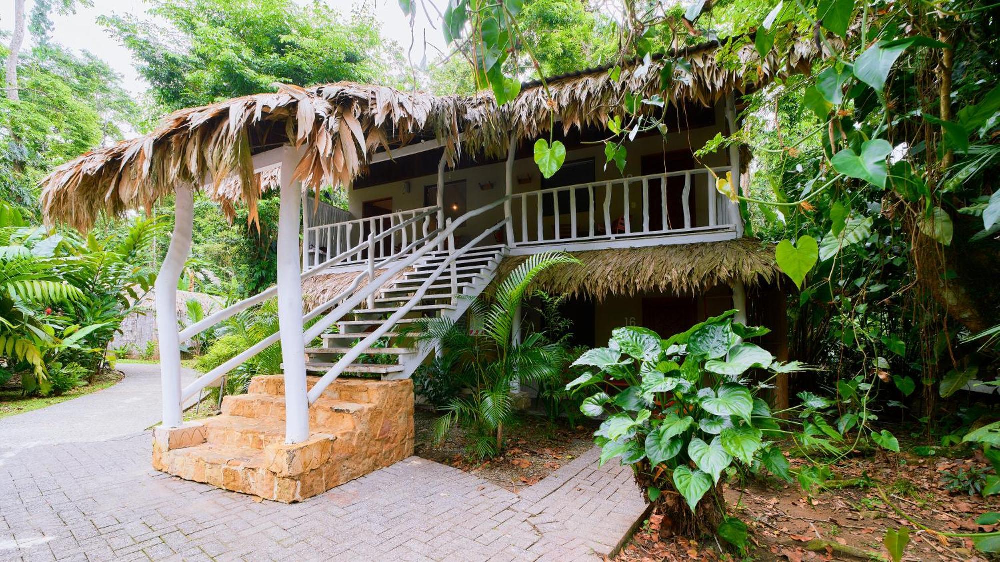 Cariblue Beach And Jungle Resort Puerto Viejo de Talamanca Szoba fotó