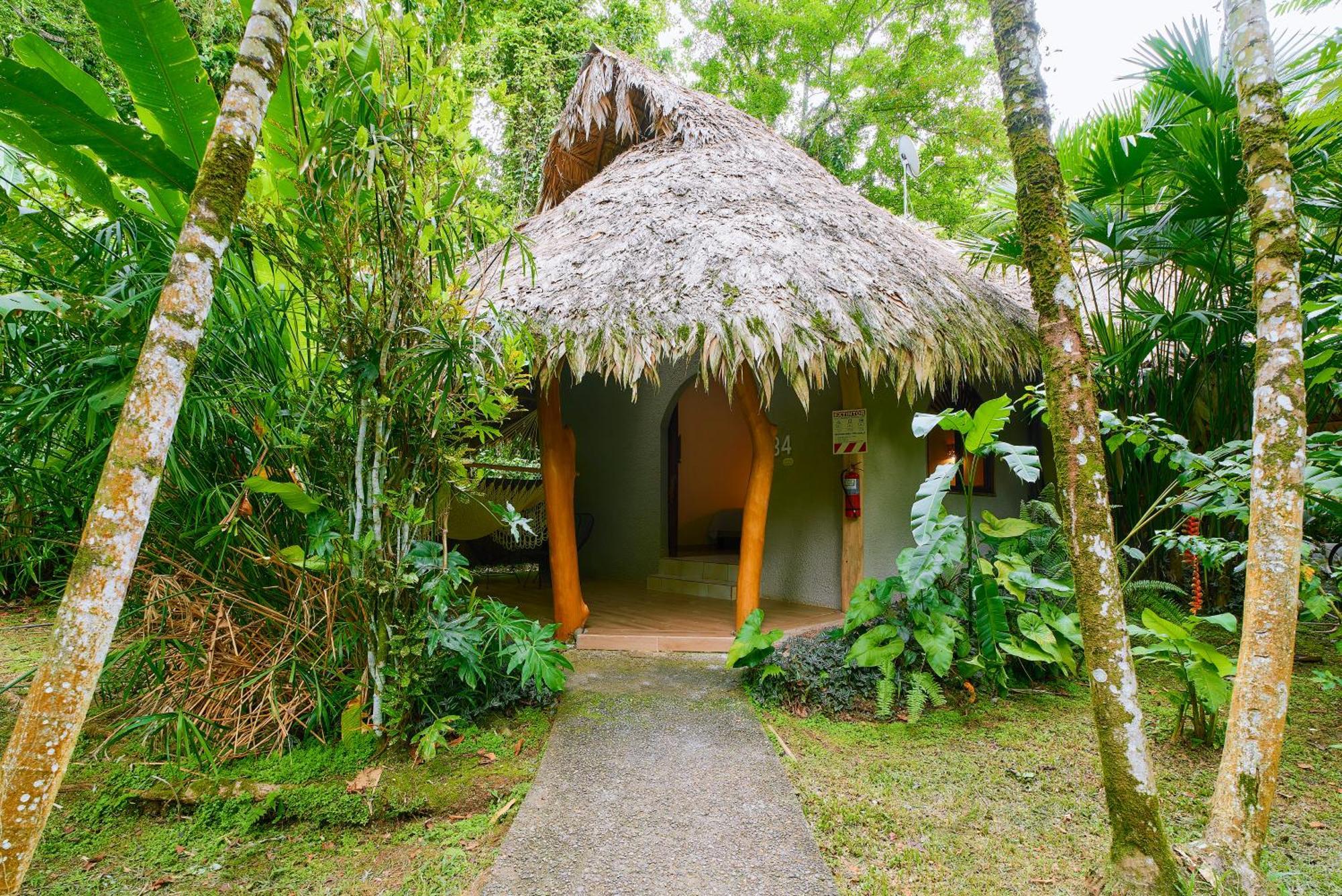 Cariblue Beach And Jungle Resort Puerto Viejo de Talamanca Szoba fotó