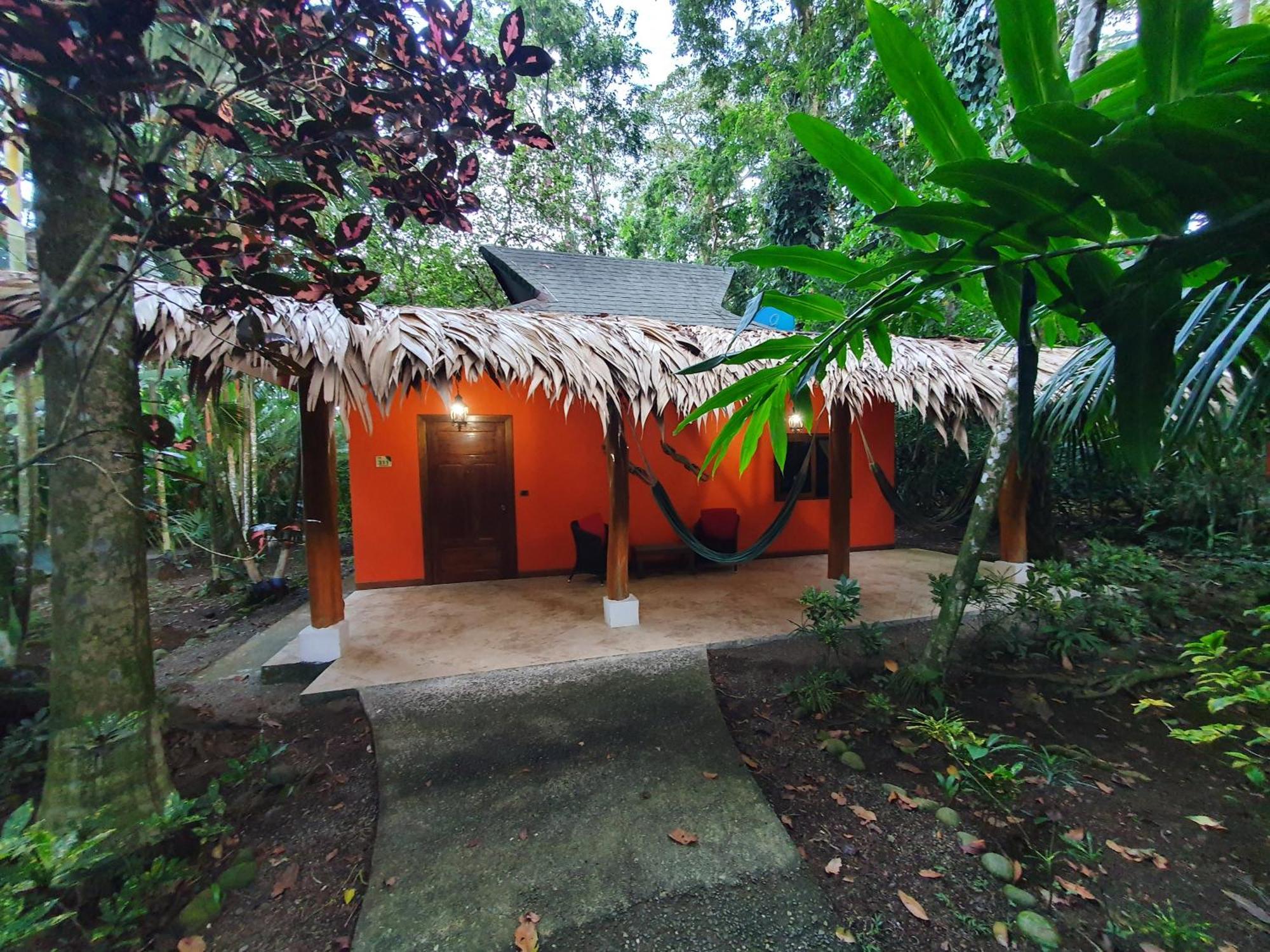 Cariblue Beach And Jungle Resort Puerto Viejo de Talamanca Szoba fotó