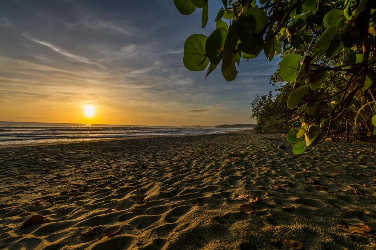 Cariblue Beach And Jungle Resort Puerto Viejo de Talamanca Kültér fotó